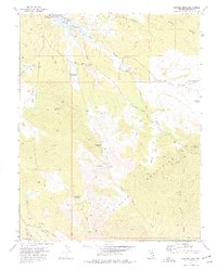 Download a high-resolution, GPS-compatible USGS topo map for Bunker Peak, NV (1977 edition)