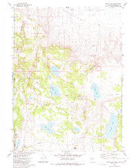 Download a high-resolution, GPS-compatible USGS topo map for Burnt Lake, NV (1980 edition)