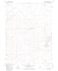 Download a high-resolution, GPS-compatible USGS topo map for Button Lake, NV (1980 edition)