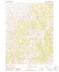 Download a high-resolution, GPS-compatible USGS topo map for Byers Canyon, NV (1990 edition)