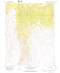 Download a high-resolution, GPS-compatible USGS topo map for Camp Creek Canyon, NV (1979 edition)