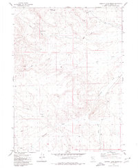 Download a high-resolution, GPS-compatible USGS topo map for Chester Lyons Spring, NV (1980 edition)