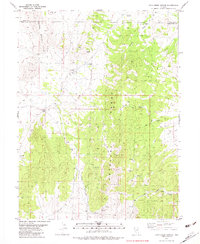 Download a high-resolution, GPS-compatible USGS topo map for Chin Creek Spring, NV (1982 edition)