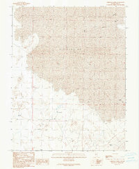Download a high-resolution, GPS-compatible USGS topo map for Christian Spring, NV (1990 edition)