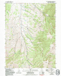 Download a high-resolution, GPS-compatible USGS topo map for Cleve Creek Baldy, NV (1994 edition)