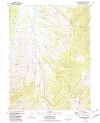 Download a high-resolution, GPS-compatible USGS topo map for Cleve Creek Baldy, NV (1982 edition)