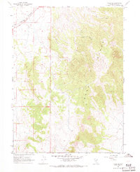 preview thumbnail of historical topo map of Elko County, NV in 1967