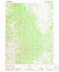 Download a high-resolution, GPS-compatible USGS topo map for Cockalorum Spring, NV (1990 edition)