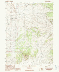 Download a high-resolution, GPS-compatible USGS topo map for Cold Creek Ranch NW, NV (1990 edition)