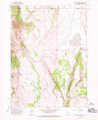 Download a high-resolution, GPS-compatible USGS topo map for Coleman Canyon, NV (1969 edition)