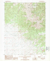 Download a high-resolution, GPS-compatible USGS topo map for Corey Peak, NV (1989 edition)