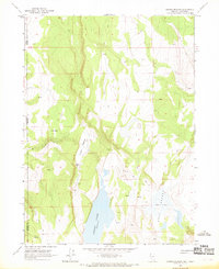 Download a high-resolution, GPS-compatible USGS topo map for Crooks Meadow, NV (1969 edition)
