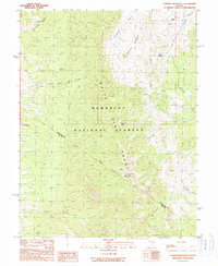 Download a high-resolution, GPS-compatible USGS topo map for Currant Mountain, NV (1990 edition)