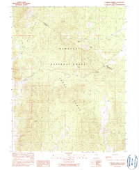 Download a high-resolution, GPS-compatible USGS topo map for Currant Summit, NV (1990 edition)