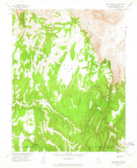 Download a high-resolution, GPS-compatible USGS topo map for Dead Horse Flat, NV (1964 edition)