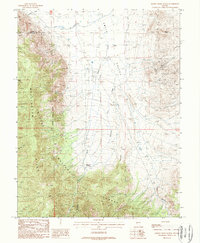 Download a high-resolution, GPS-compatible USGS topo map for Desert Creek Ranch, NV (1989 edition)