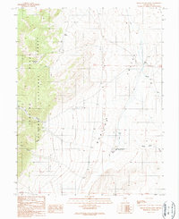 Download a high-resolution, GPS-compatible USGS topo map for Dianas Punch Bowl, NV (1990 edition)
