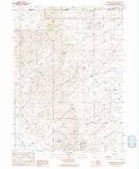 Download a high-resolution, GPS-compatible USGS topo map for Disaster Peak, NV (1991 edition)