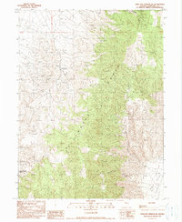 Download a high-resolution, GPS-compatible USGS topo map for Dixie Hot Springs NE, NV (1990 edition)