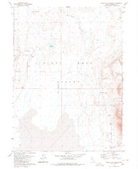 Download a high-resolution, GPS-compatible USGS topo map for Double Hot Springs, NV (1980 edition)