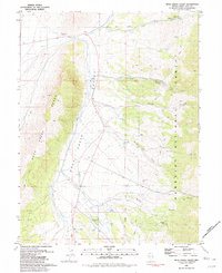 Download a high-resolution, GPS-compatible USGS topo map for Duck Creek Valley, NV (1981 edition)