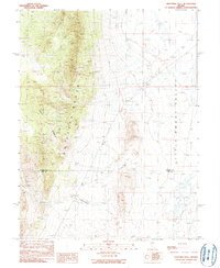 Download a high-resolution, GPS-compatible USGS topo map for Eightmile Well, NV (1990 edition)