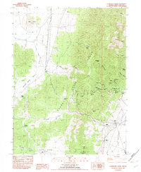 Download a high-resolution, GPS-compatible USGS topo map for Exchequer Spring, NV (1982 edition)