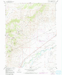 Download a high-resolution, GPS-compatible USGS topo map for Flowery Peak, NV (1991 edition)