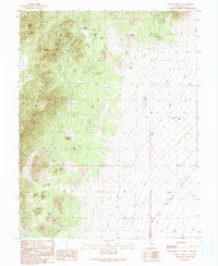Download a high-resolution, GPS-compatible USGS topo map for Forest Home NE, NV (1990 edition)