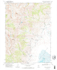 Download a high-resolution, GPS-compatible USGS topo map for Franklin Lake NW, NV (1972 edition)