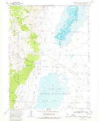 Download a high-resolution, GPS-compatible USGS topo map for Franklin Lake SW, NV (1980 edition)