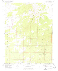Download a high-resolution, GPS-compatible USGS topo map for Grassy Mtn, NV (1977 edition)