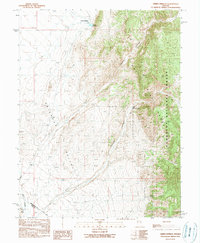 Download a high-resolution, GPS-compatible USGS topo map for Green Springs, NV (1990 edition)