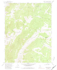 Download a high-resolution, GPS-compatible USGS topo map for Haggerty Spring, NV (1983 edition)