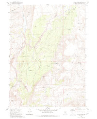 Download a high-resolution, GPS-compatible USGS topo map for Hardscrabble, NV (1980 edition)