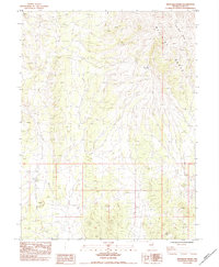 preview thumbnail of historical topo map of Elko County, NV in 1984