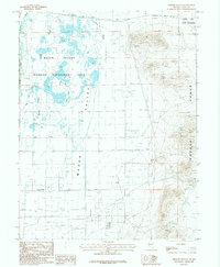 Download a high-resolution, GPS-compatible USGS topo map for Hinkson Slough, NV (1988 edition)