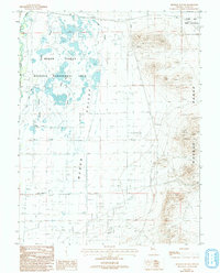 Download a high-resolution, GPS-compatible USGS topo map for Hinkson Slough, NV (1993 edition)