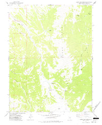 Download a high-resolution, GPS-compatible USGS topo map for Horse Camp Springs, NV (1977 edition)