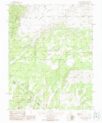 Download a high-resolution, GPS-compatible USGS topo map for Huntoon Spring, NV (1988 edition)
