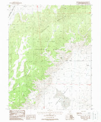 Download a high-resolution, GPS-compatible USGS topo map for Huntoon Valley, NV (1988 edition)