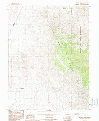 Download a high-resolution, GPS-compatible USGS topo map for Hussman Spring, NV (1988 edition)