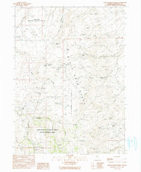 Download a high-resolution, GPS-compatible USGS topo map for Idaho Canyon Spring, NV (1990 edition)