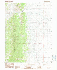 Download a high-resolution, GPS-compatible USGS topo map for Illipah, NV (1990 edition)