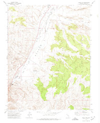 Download a high-resolution, GPS-compatible USGS topo map for Indian Cove, NV (1974 edition)