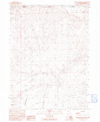 Download a high-resolution, GPS-compatible USGS topo map for Jordan Meadow NW, NV (1991 edition)