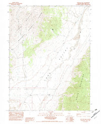 Download a high-resolution, GPS-compatible USGS topo map for Junction Well, NV (1982 edition)