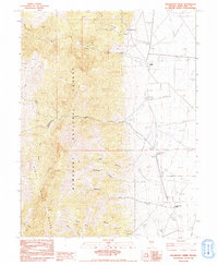 Download a high-resolution, GPS-compatible USGS topo map for Kalamazoo Creek, NV (1991 edition)