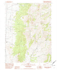 Download a high-resolution, GPS-compatible USGS topo map for Kalamazoo Summit, NV (1982 edition)