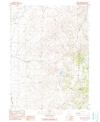Download a high-resolution, GPS-compatible USGS topo map for Knott Creek, NV (1990 edition)